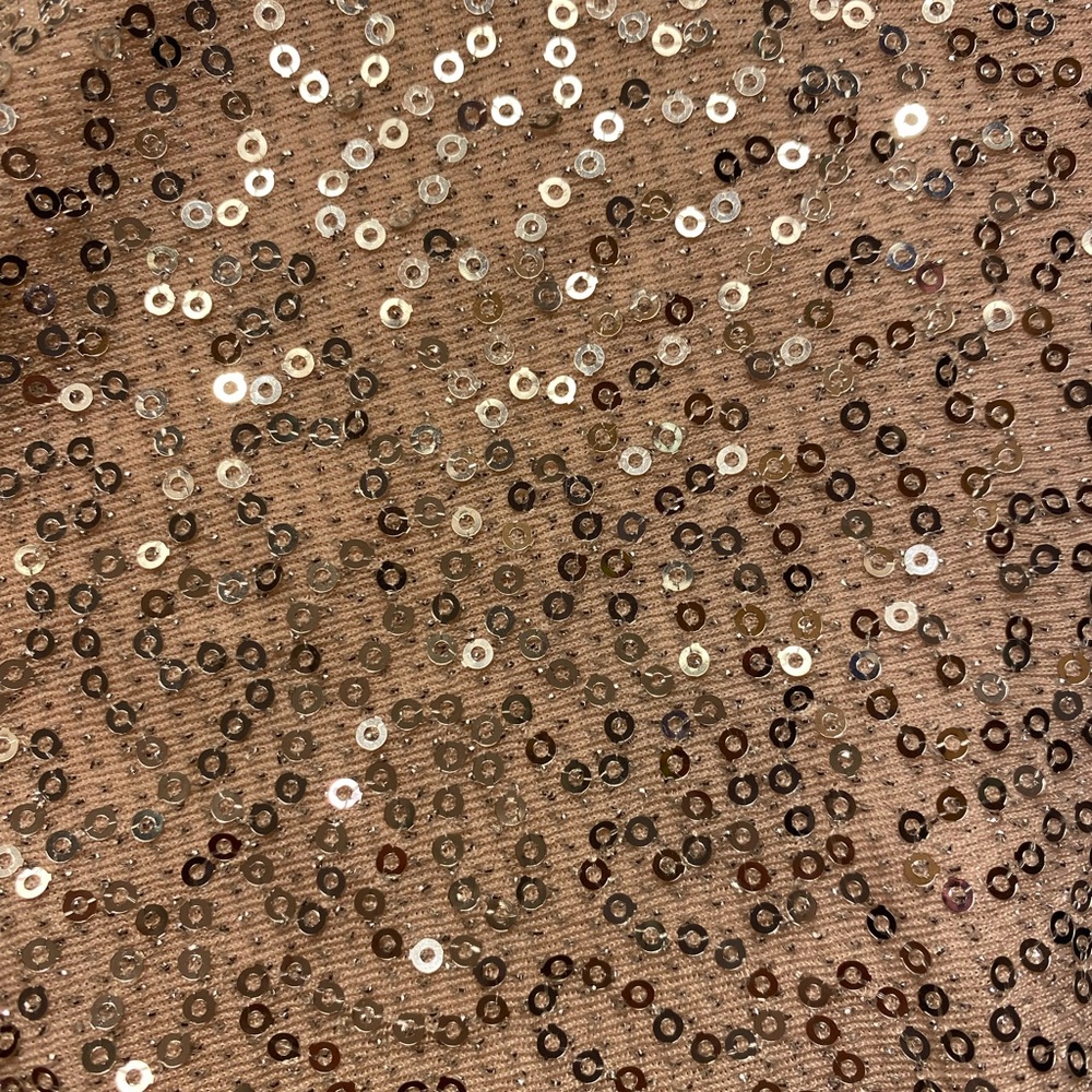 Express Sparkly Top - Picture 5 of 5